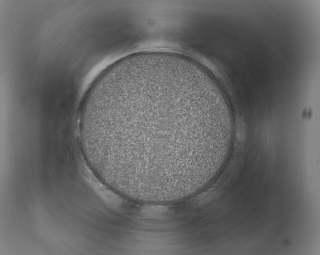 X0000112361462200909241114