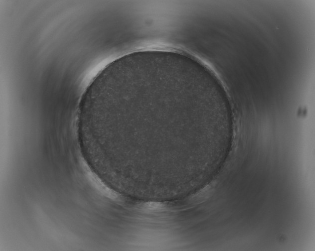 X0000112361463200909241114