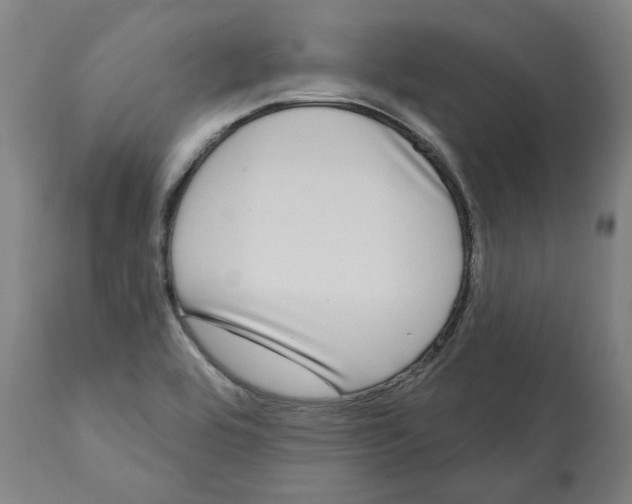 X0000112361464200909241114