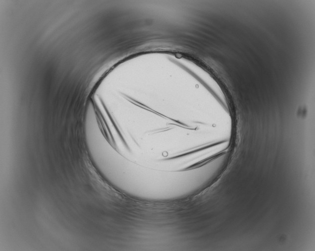 X0000112361465200909241114