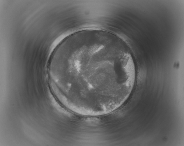 X0000112361466200909241114