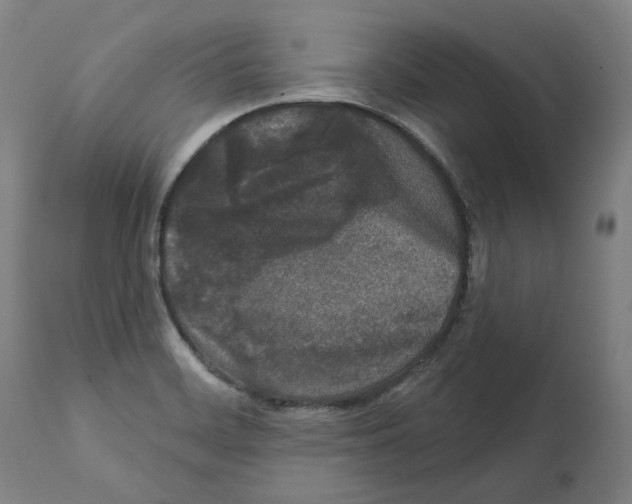 X0000112361468200909241114