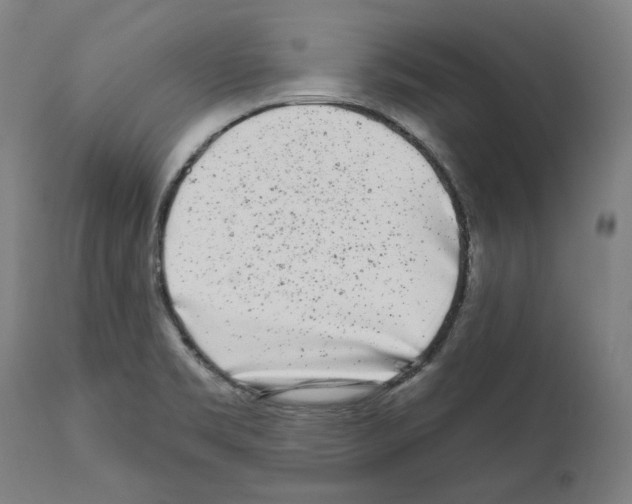 X0000112361469200909241114