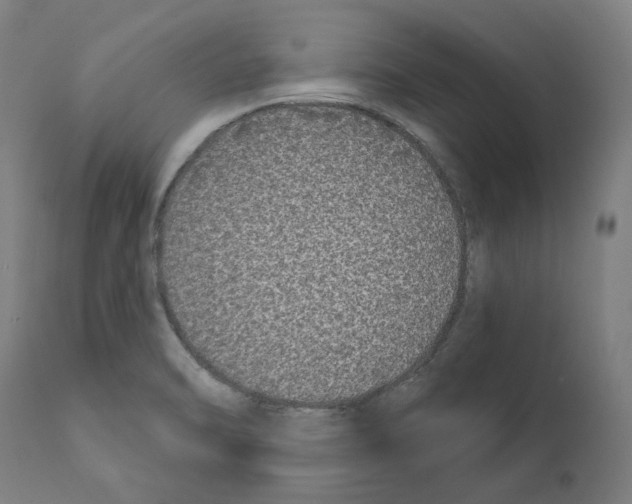 X0000112361470200909241114