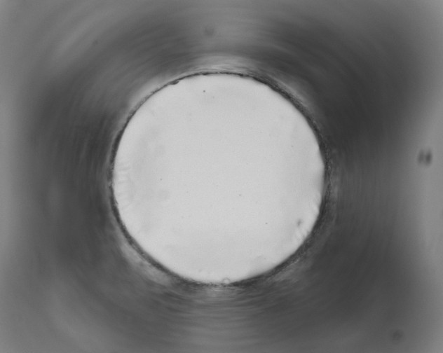 X0000112361471200909241114