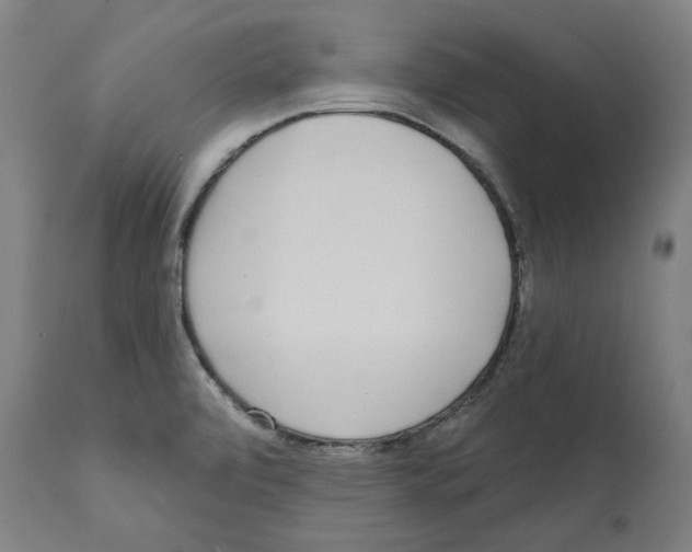 X0000112361472200909241114