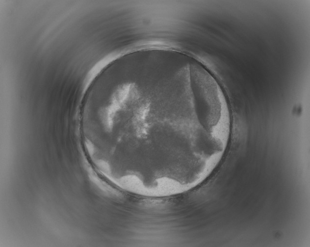 X0000112361474200909241114