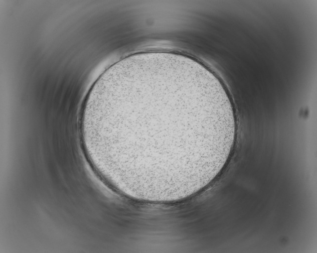 X0000112361475200909241114
