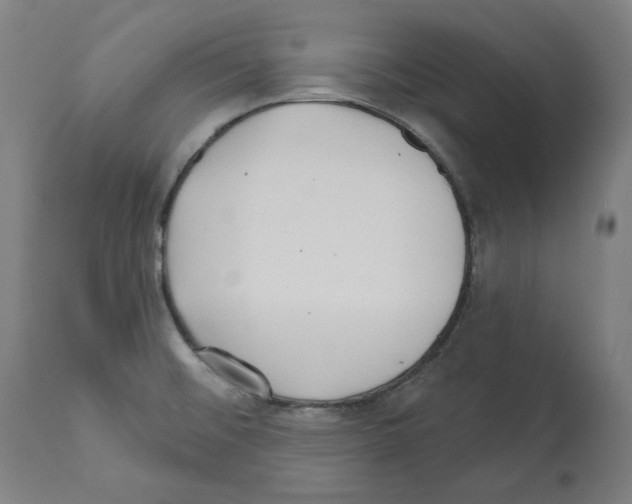 X0000112361476200909241114