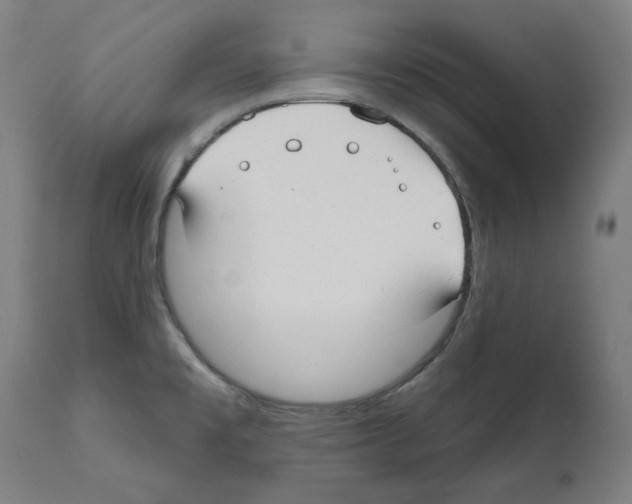 X0000112361477200909241114
