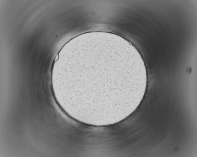 X0000112361479200909241114