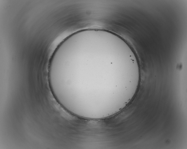 X0000112361480200909241114