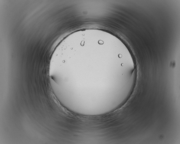 X0000112361481200909241114