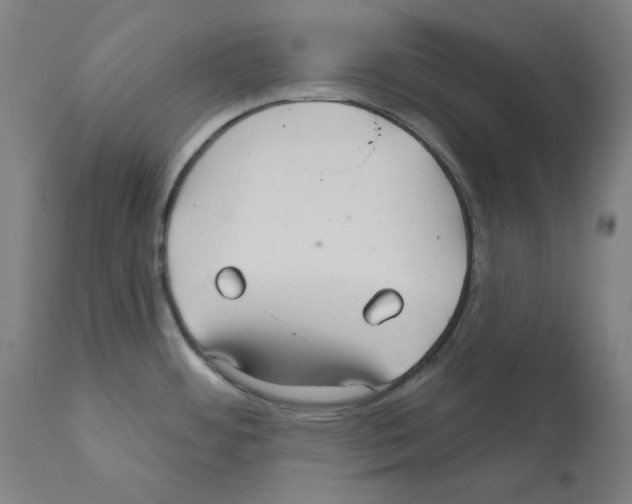 X0000112361484200909241113