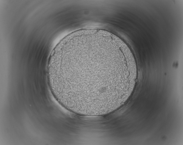X0000112361487200909241113