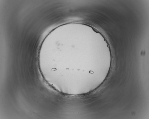X0000112361488200909241113