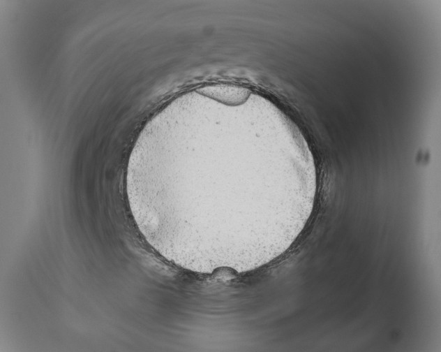 X0000112361489200909241113