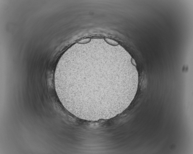 X0000112361490200909241113