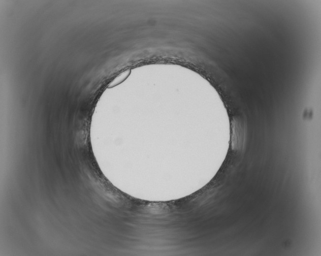 X0000112361491200909241113