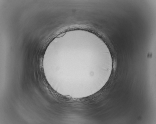X0000112361492200909241113
