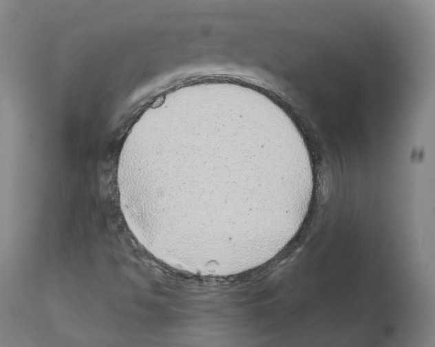 X0000112361494200909241113
