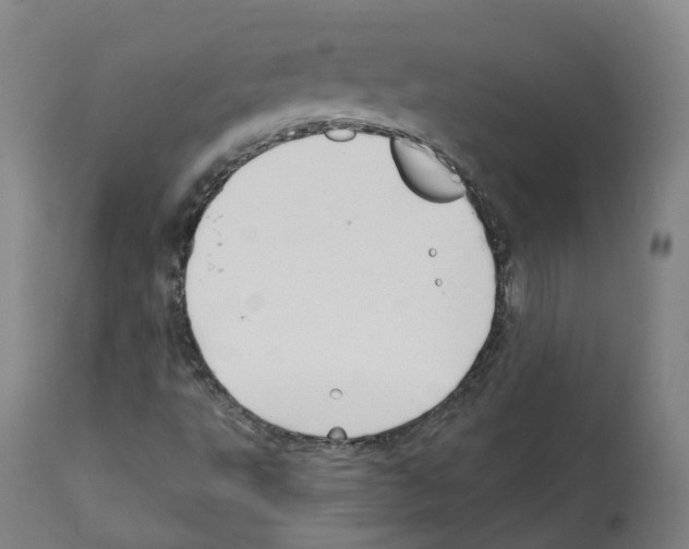 X0000112361495200909241113