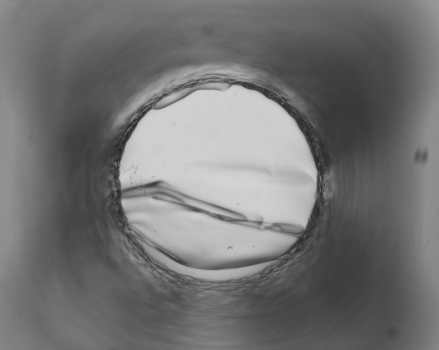X0000112361496200909241113