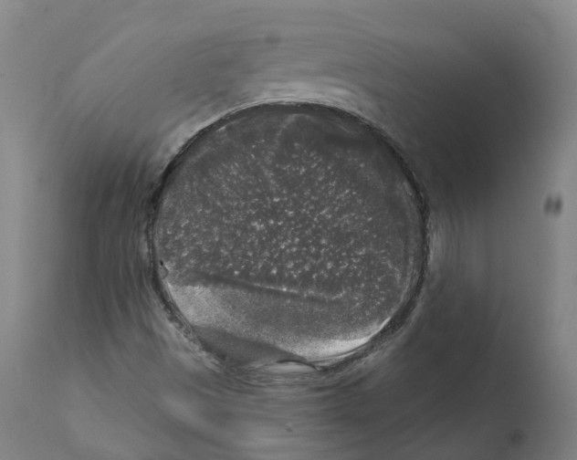 X0000112361497200909241113
