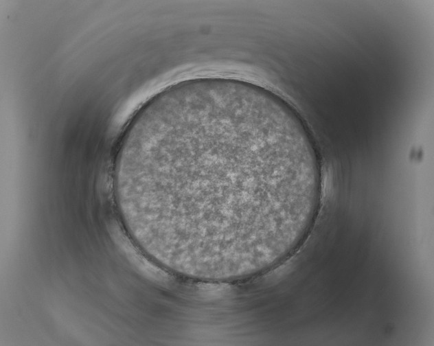X0000112361498200909241113
