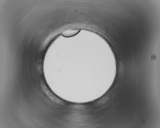 X0000112361499200909241113