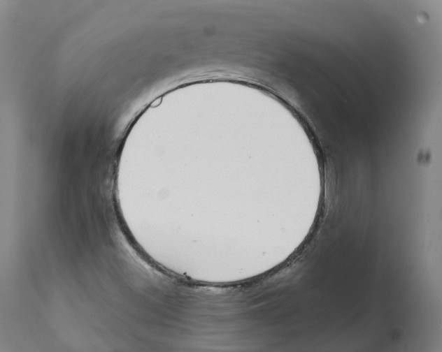 X0000112361500200909241113