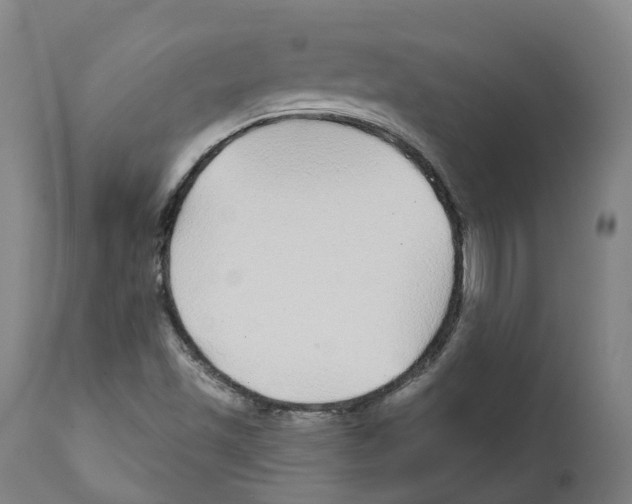 X0000112361501200909241113