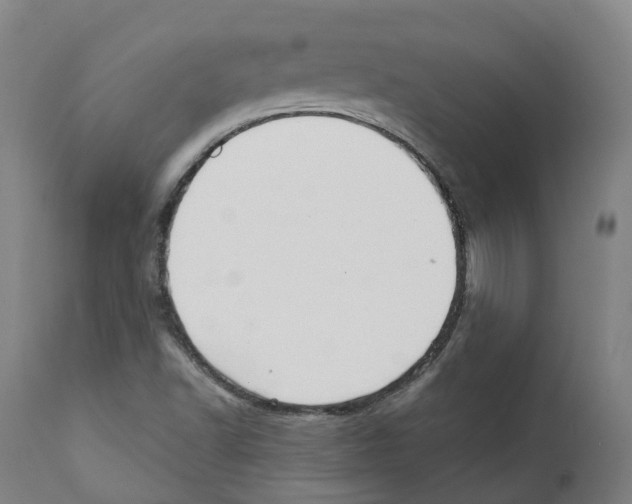 X0000112361502200909241113