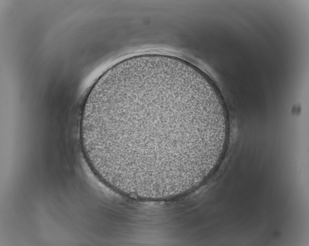 X0000112361504200909241113