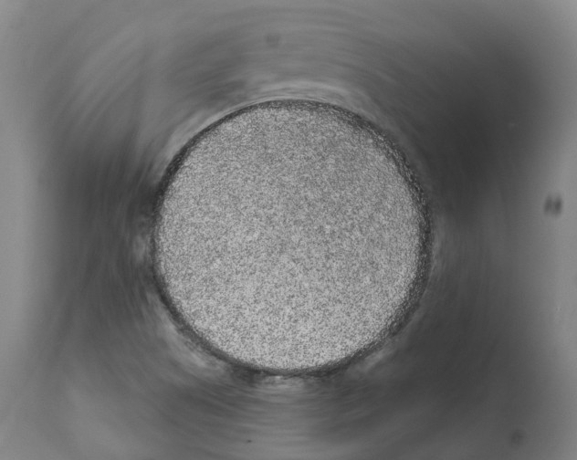 X0000112361505200909241113