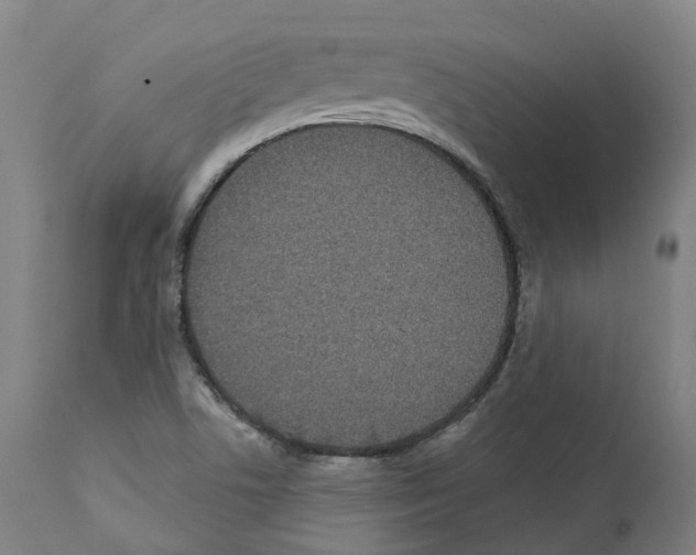 X0000112361506200909241113
