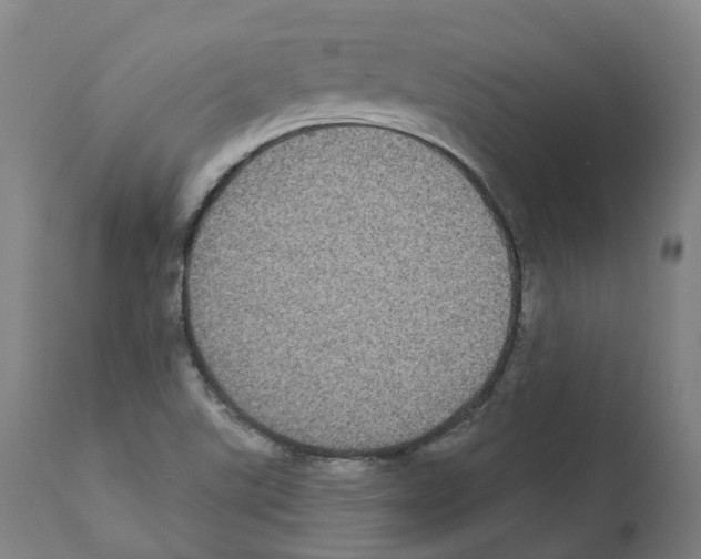 X0000112361507200909241113