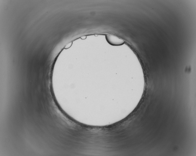 X0000112361512200909241113