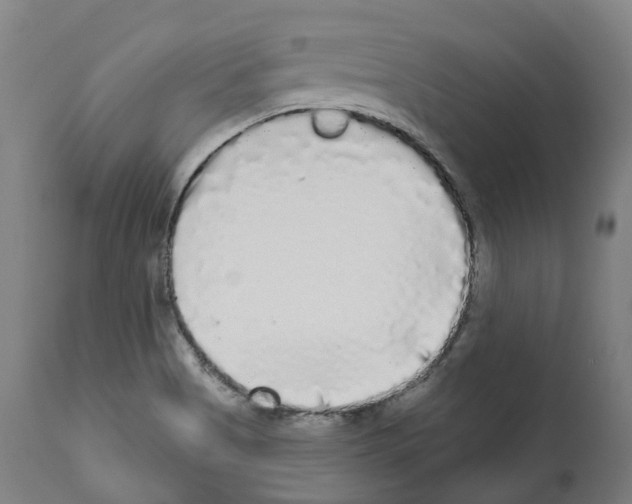 X0000112361513200909241113