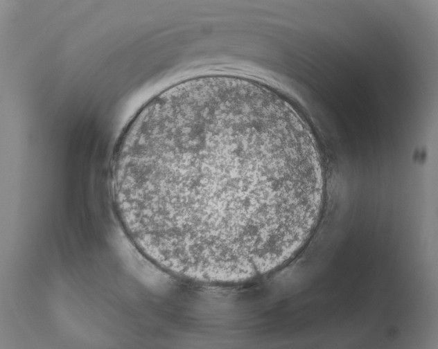 X0000112361514200909241113