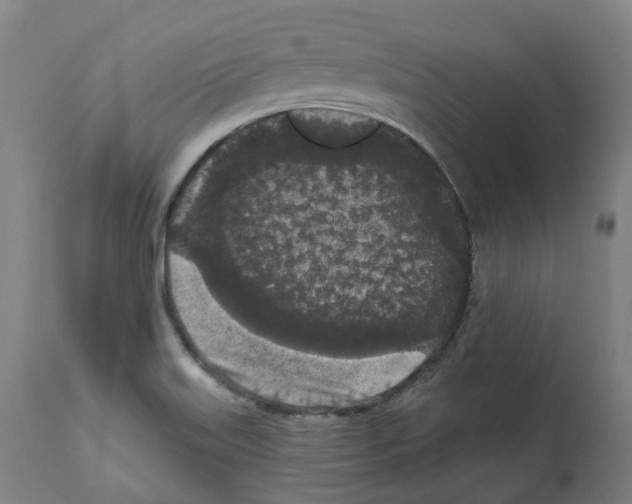 X0000112361515200909241113