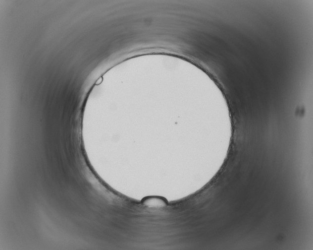 X0000112361516200909241113