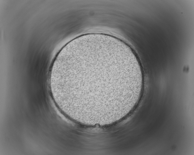 X0000112361517200909241113