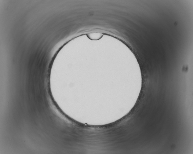 X0000112361518200909241113