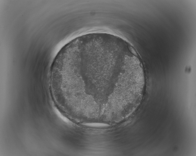 X0000112361519200909241113