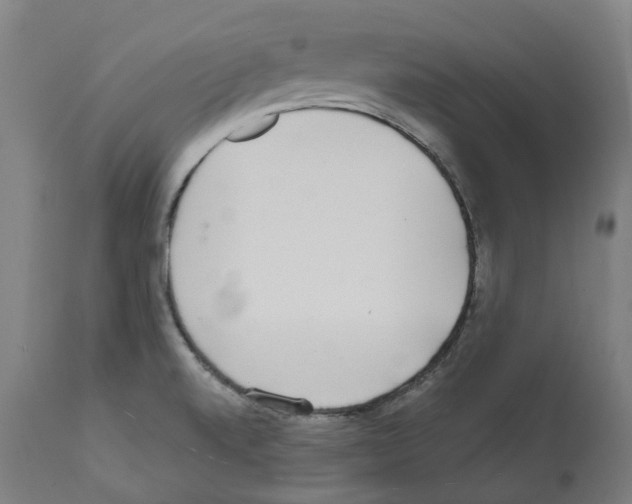 X0000112361520200909241113