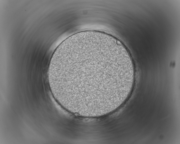 X0000112361521200909241113
