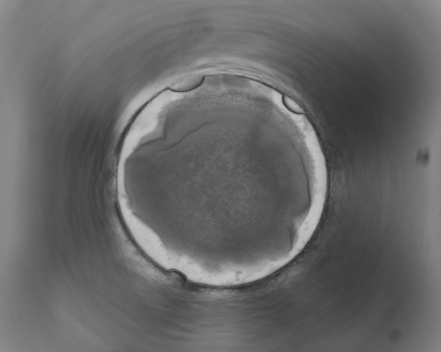 X0000112361522200909241113