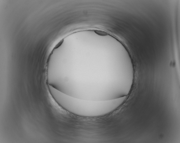 X0000112361524200909241113