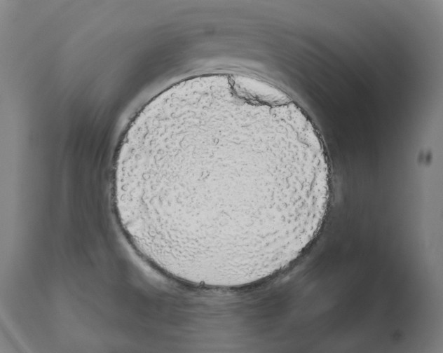X0000112361525200909241113